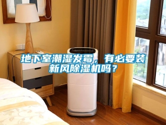 常見問題地下室潮濕發霉，有必要裝新風除濕機嗎？