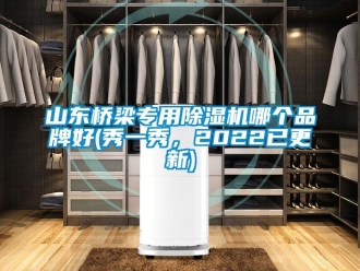 企業(yè)新聞山東橋梁專用除濕機(jī)哪個(gè)品牌好(秀一秀，2022已更新)