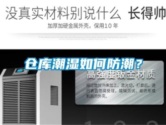 企業(yè)新聞倉(cāng)庫(kù)潮濕如何防潮？