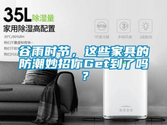 常見問題谷雨時節(jié)，這些家具的防潮妙招你Get到了嗎？