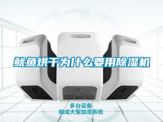 知識(shí)百科魷魚烘干為什么要用除濕機(jī)