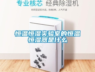 知識(shí)百科恒溫恒濕實(shí)驗(yàn)室的恒溫恒濕器是什么