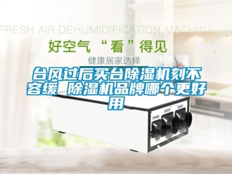 企業新聞臺風過后買臺除濕機刻不容緩 除濕機品牌哪個更好用