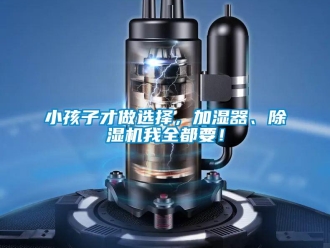 行業新聞小孩子才做選擇，加濕器、除濕機我全都要！