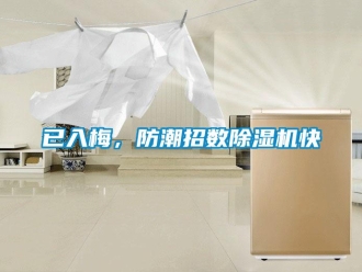 知識百科已入梅，防潮招數除濕機快
