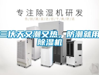 行業新聞三伏天又潮又熱，防潮就用除濕機