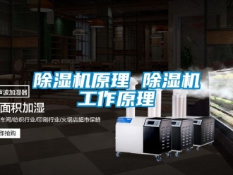 行業新聞除濕機原理 除濕機工作原理