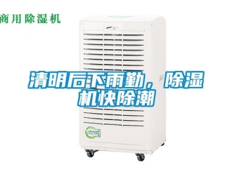行業新聞清明后下雨勤，除濕機快除潮