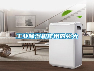 企業新聞工業除濕機作用的強大