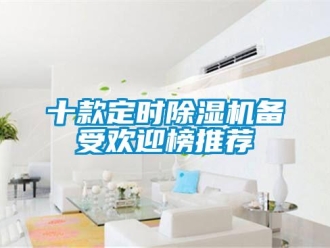 行業(yè)新聞十款定時除濕機備受歡迎榜推薦