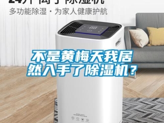 企業(yè)新聞不是黃梅天我居然入手了除濕機(jī)？