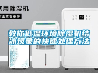 行業新聞教你低溫環境除濕機結冰現象的快速處理方法