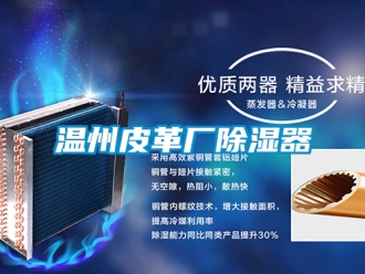 行業新聞溫州皮革廠除濕器