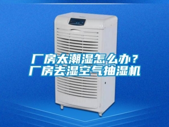 企業(yè)新聞廠房太潮濕怎么辦？廠房去濕空氣抽濕機