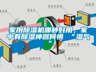 常見(jiàn)問(wèn)題家用除濕機(jī)哪種好用，家中有除濕神器何懼 “濕氣 “！