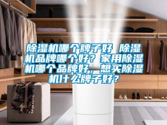企業新聞除濕機哪個牌子好 除濕機品牌哪個好？家用除濕機哪個品牌好，想買除濕機什么牌子好？