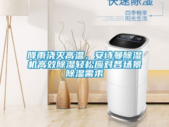 行業新聞降雨澆滅高溫，安詩曼除濕機高效除濕輕松應對各場景除濕需求