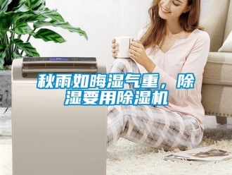 行業新聞秋雨如晦濕氣重，除濕要用除濕機