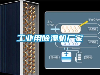 企業(yè)新聞工業(yè)用除濕機(jī)廠家