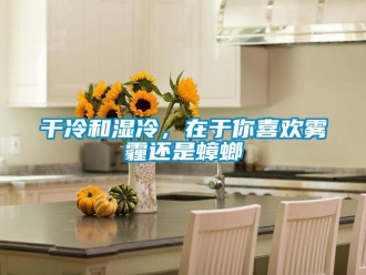 企業新聞干冷和濕冷，在于你喜歡霧霾還是蟑螂