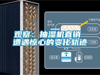 行業(yè)新聞觀察：抽濕機直銷 遭遇驚心的變化軌跡