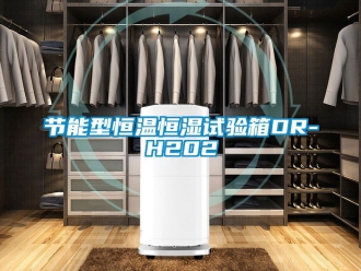 知識百科節能型恒溫恒濕試驗箱DR-H202