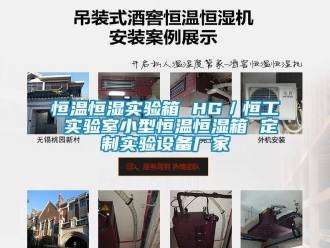 知識百科恒溫恒濕實驗箱 HG／恒工 實驗室小型恒溫恒濕箱 定制實驗設(shè)備廠家