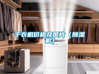 企業(yè)新聞干衣機價格及圖片（除濕機）