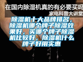 企業新聞除濕機十大品牌排名，除濕機哪個牌子除濕效果好，買哪個牌子除濕機比較好，除濕機什么牌子好用實惠