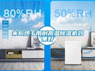 行業(yè)新聞米粉烘干用耐高溫除濕機效果好