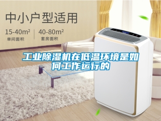 常見問題工業(yè)除濕機(jī)在低溫環(huán)境是如何工作運行的