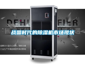 知識百科戰國時代的除濕機市場現狀