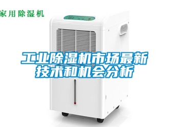 常見問題工業除濕機市場最新技術和機會分析
