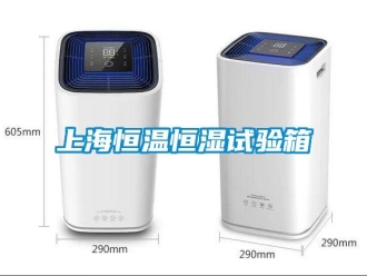 知識百科上海恒溫恒濕試驗箱