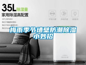 行業(yè)新聞梅雨季節(jié)墻壁防潮除濕小妙招