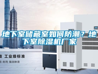 企業(yè)新聞地下室儲(chǔ)藏室如何防潮？地下室除濕機(jī)廠家