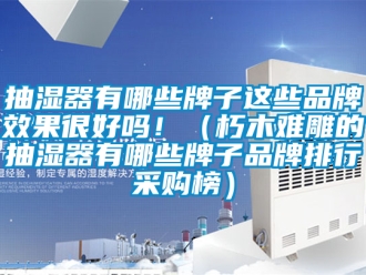 企業新聞抽濕器有哪些牌子這些品牌效果很好嗎！（朽木難雕的抽濕器有哪些牌子品牌排行采購榜）