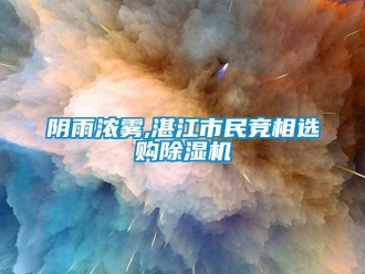 知識百科陰雨濃霧,湛江市民競相選購除濕機(jī)