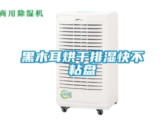 行業(yè)新聞黑木耳烘干排濕快不粘盤(pán)