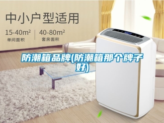 常見問題防潮箱品牌(防潮箱那個牌子好)