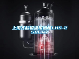 知識(shí)百科上海齊欣恒溫恒濕箱LHS-250CAY