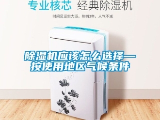 行業(yè)新聞除濕機應(yīng)該怎么選擇—按使用地區(qū)氣候條件