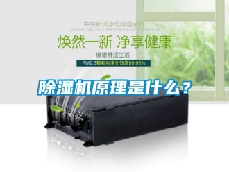 行業(yè)新聞除濕機(jī)原理是什么？