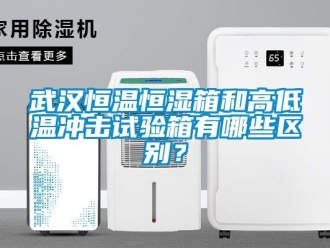 知識百科武漢恒溫恒濕箱和高低溫沖擊試驗箱有哪些區(qū)別？