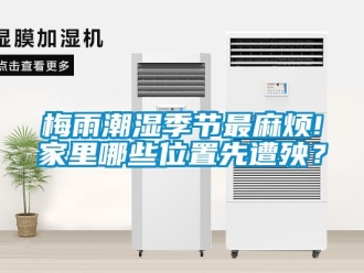 行業(yè)新聞梅雨潮濕季節(jié)最麻煩!家里哪些位置先遭殃？