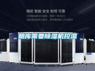 行業(yè)新聞糧庫需要除濕機控濕
