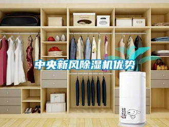 知識百科中央新風除濕機優勢