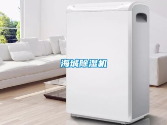 行業新聞海城除濕機