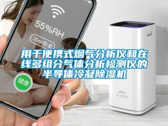 行業(yè)新聞用于便攜式煙氣分析儀和在線多組分氣體分析檢測儀的半導體冷凝除濕機