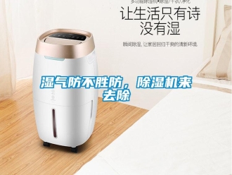 知識百科濕氣防不勝防，除濕機來去除